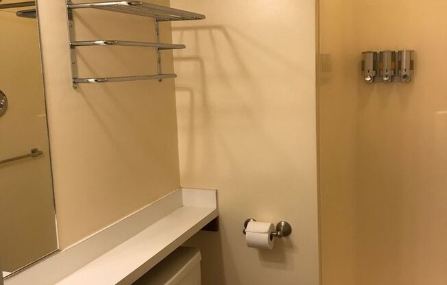 Studio, 1 bath, 315 sqft, $955, Unit 403