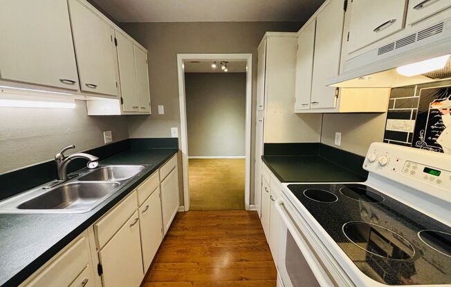 1 bed, 1 bath, $950