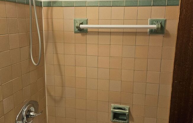 1 bed, 1 bath, $700, Unit 410