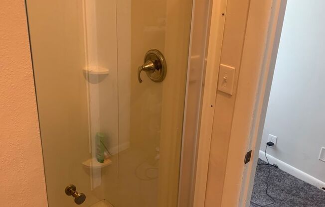 Studio, 1 bath, $850, Unit C - Lower Rear