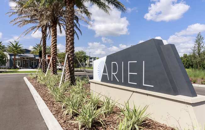 Ariel entrance sign with beautiful palm trees