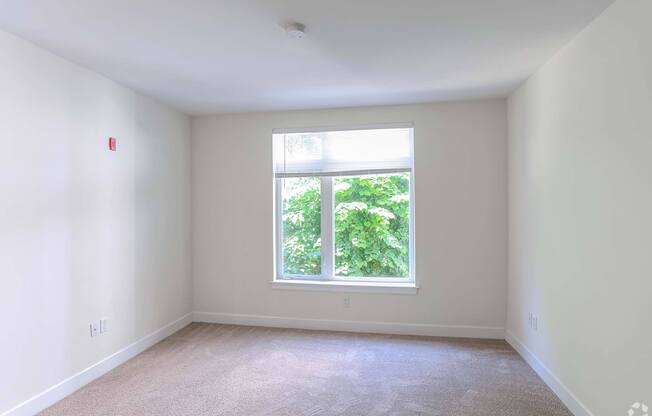 A room with a window and a carpet on the floor at 7 Cameron Apartments, Cambridge