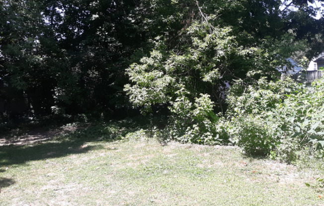 311 PLYMOUTH NE