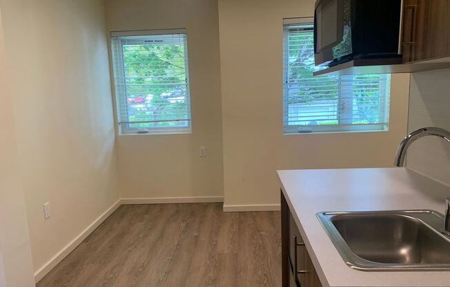 Studio, 1 bath, 175 sqft, $1,295, Unit 206