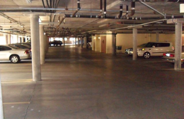 1 bed, 1 bath, $1,500, Unit 116