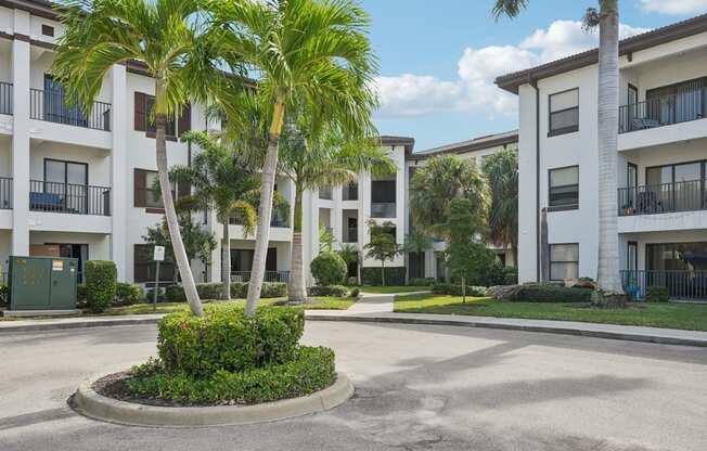 A palm tree stands in front of a white apartment building.