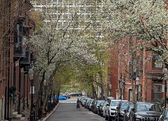 63 Hancock St Apt 1F