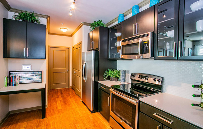 Upgraded Kitchen with Stainless Steel Appliances in 1 Bedroom Apartments for Rent