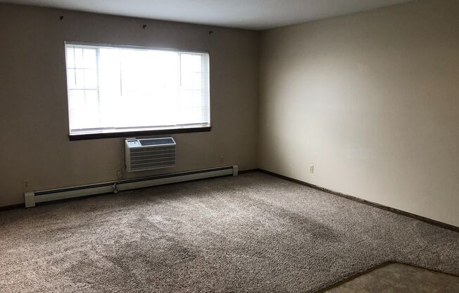 Spacious 1 bedroom plus den.