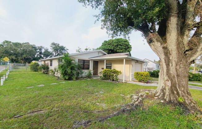 Charming Four Bedroom One Bathroom House photos coming soon