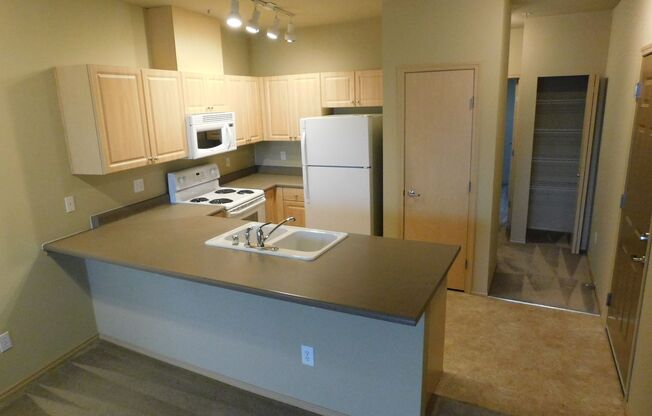 1 bed, 1 bath, 579 sqft, $1,450