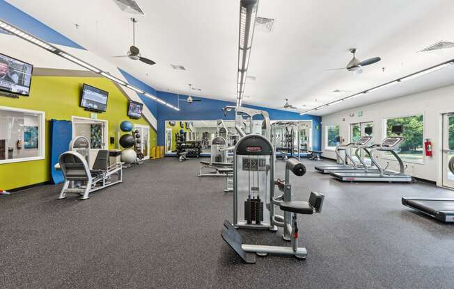 a gym with weights and cardio equipment on the floor and walls with yellow and blue