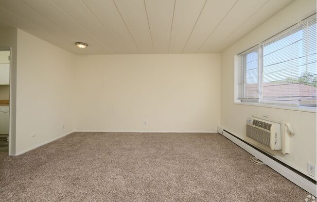 Studio, 1 bath, 375 sqft, $889, Unit C03