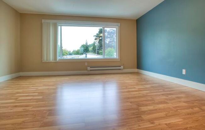 Top Floor 1bed/1bath Apartment Near Mt. Baker Light Rail!