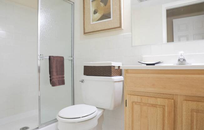 Luxurious Bathroom at St. Charles at Olde Court Apartments, Pikesville