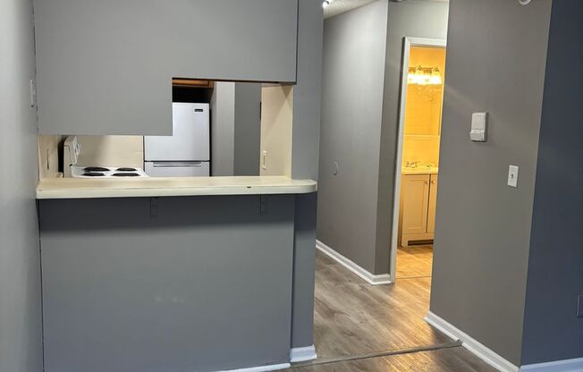 Studio, 1 bath, 418 sqft, $950, Unit 110