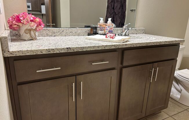 2 beds, 2 baths, 1,031 sqft, $1,495, Unit 3710134R