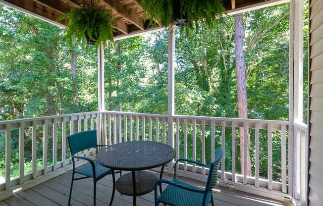 Balcony And Patio at Park Ridge Estates, Durham, NC