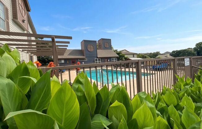 1 bed, 1 bath, 545 sqft, $899