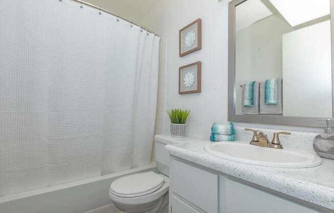 A white bathroom with a toilet, sink, and shower.