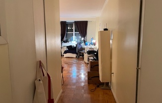 Studio, 1 bath, $2,600, Unit 14L