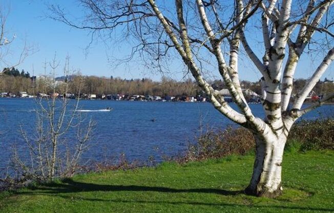 Studio, 1 bath, 456 sqft, $1,295, Unit 1105