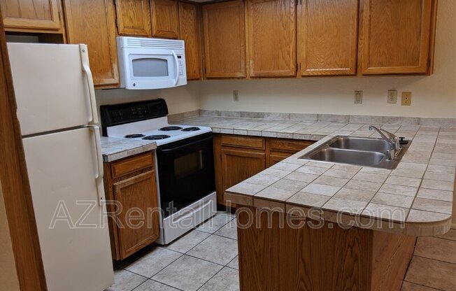 609 E MESQUITE Circle