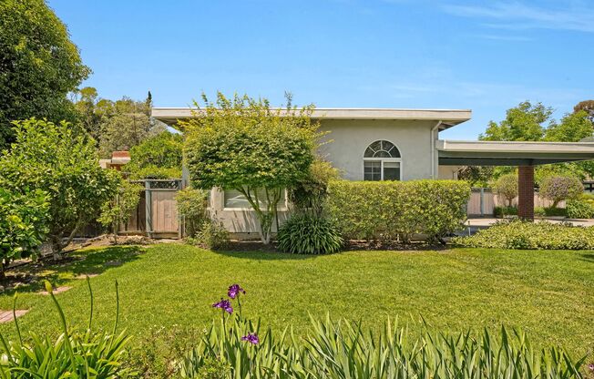 Spacious 4 bed, 2.5 Bath Home with Bonus Room and Pool in Palo Alto!