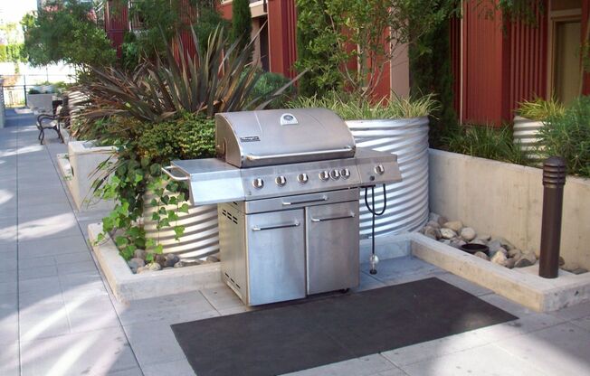 1 bed, 1 bath, 737 sqft, $1,795, Unit 302