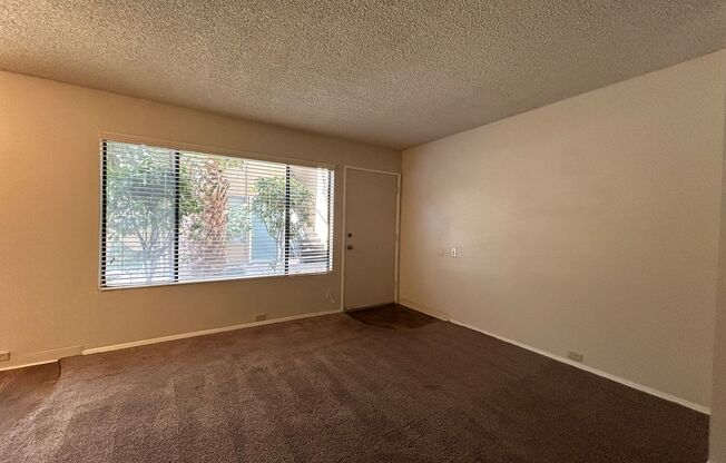 1 bed, 1 bath, $1,600, Unit 11