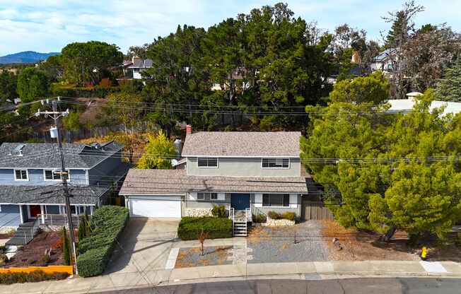 Renovated 4 Bedroom Home in an Idyllic Residential Neighborhood