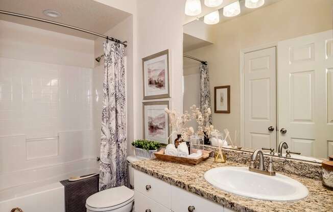 Bathroom with granite vanity, framed art and tub shower