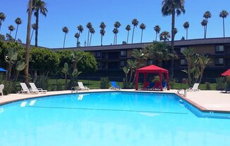 CORONADO PALMS
