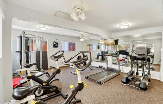 1 bed, 1 bath, 725 sqft, $2,795, Unit 304