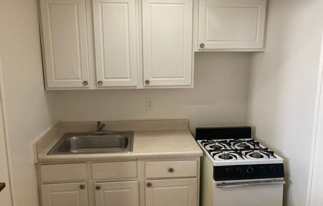 Studio, 1 bath, 450 sqft, $1,049, Unit 42-1R