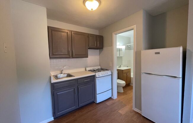 Studio, 1 bath, 350 sqft, $1,095, Unit 4537-1C