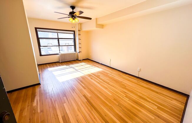 Studio, 1 bath, 500 sqft, $1,495