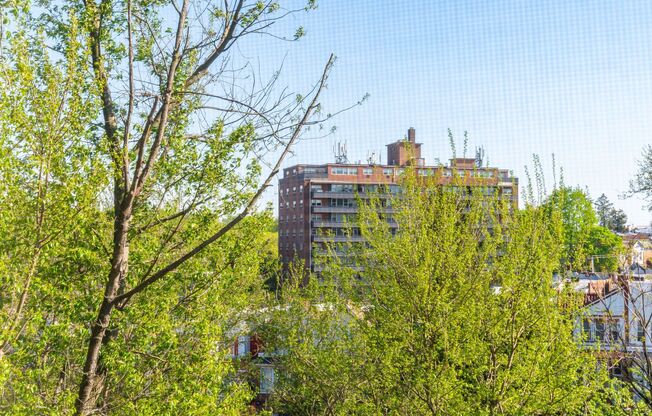 1 bed, 1 bath, 550 sqft, $1,375, Unit C6