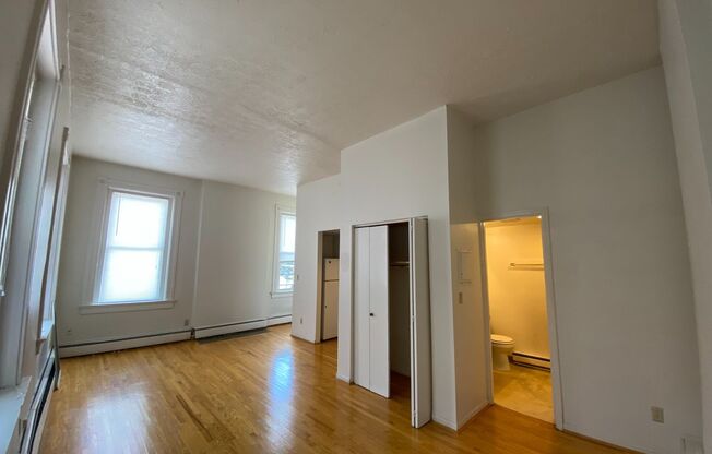 Studio, 1 bath, 480 sqft, $950, Unit Unit 4