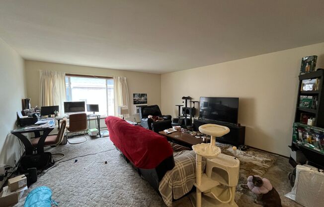 1 bed, 1 bath, $950, Unit 28