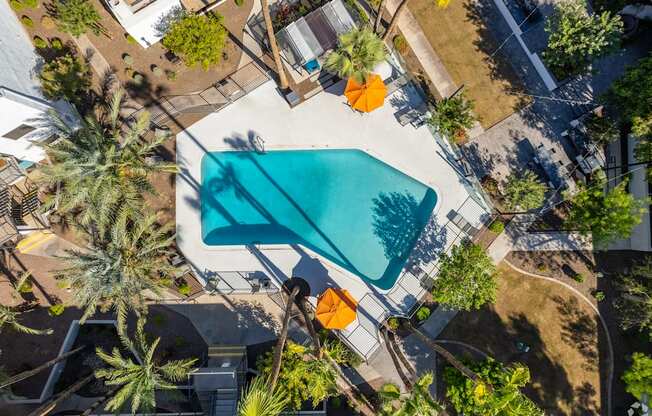 a swimming pool in a backyard with palm trees