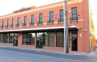 319 S FLORES