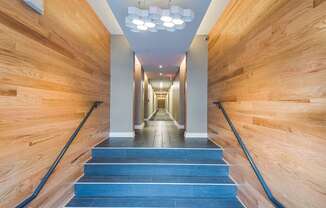 a view down a long hallway with blue stairs and wood walls