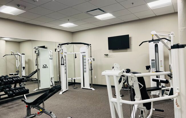 Studio, 1 bath, 591 sqft, $1,300, Unit 305