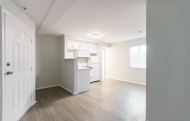 Studio, 1 bath, 238 sqft, $1,848, Unit 104
