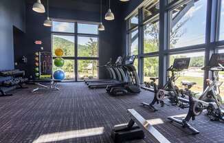 a gym with weights and cardio machines and windows