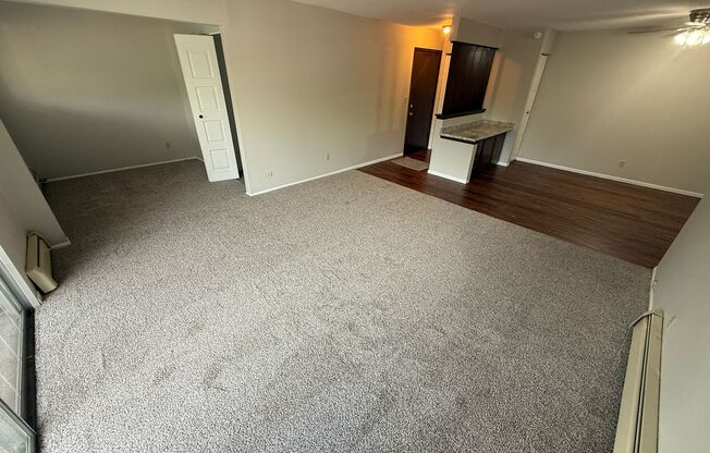 Williamsburg Flats 200