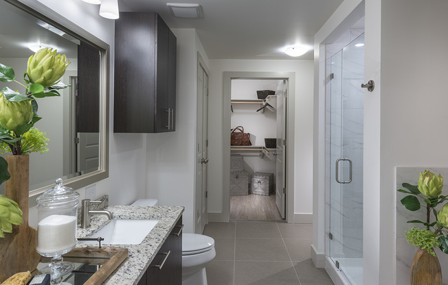 Bathroom with a frameless glass walk-in shower, dual vanity with a granite countertop, and an attached walk-in closet.