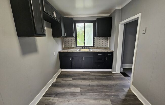 Fully updated 1 bedroom 1 bath apartment for rent.