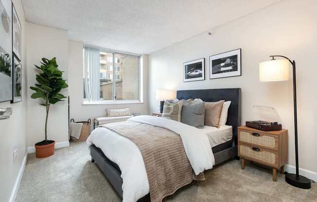 our apartments offer a bedroom with a large bed and a window